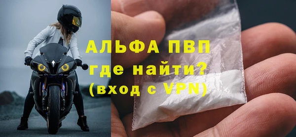 прущие грибы Аркадак