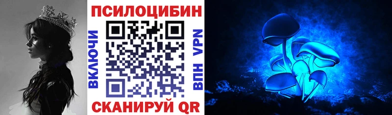 Псилоцибиновые грибы Psilocybine cubensis  что такое   Асбест 