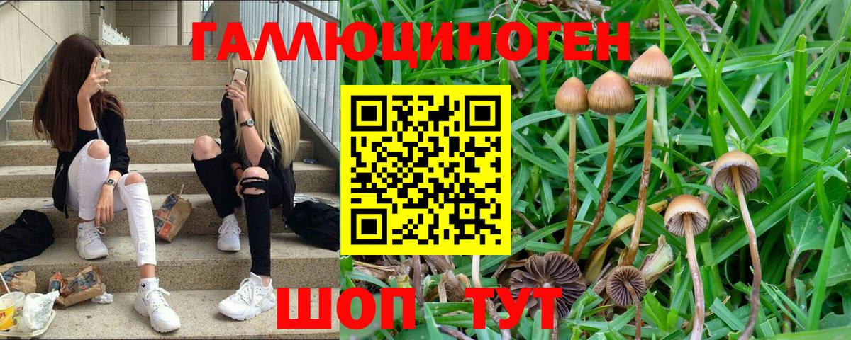 Псилоцибиновые грибы MAGIC MUSHROOMS  цена наркотик  Вход с VPN  Асбест  Псилоцибиновые грибы Cubensis 